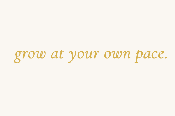 Sina Pferde Energie - grow at your own pace