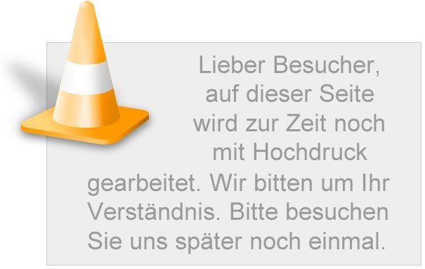Sina Pferde Energie - Baustellenseite