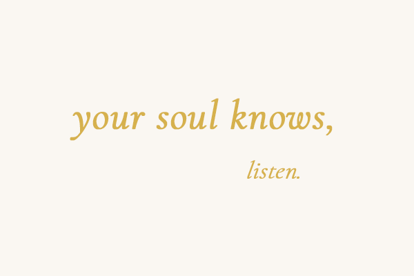 Sina Pferde Energie - your soul knows listen