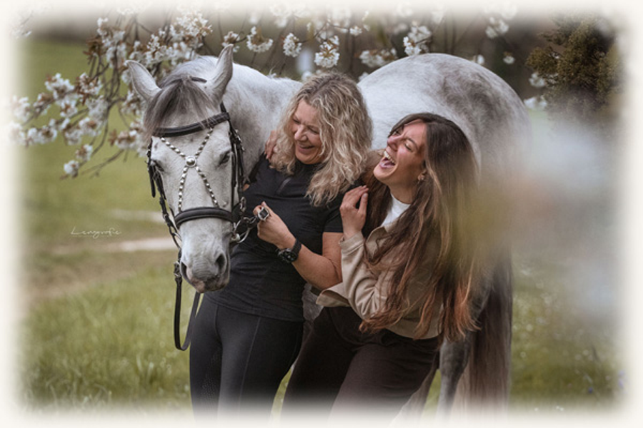 Sina Pferde Energie - Kundenstimmen