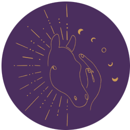 Sina Pferde Energie-Logo